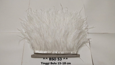 large2 BSO 53